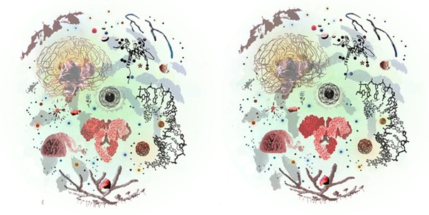 Cranial Ball Pair low res